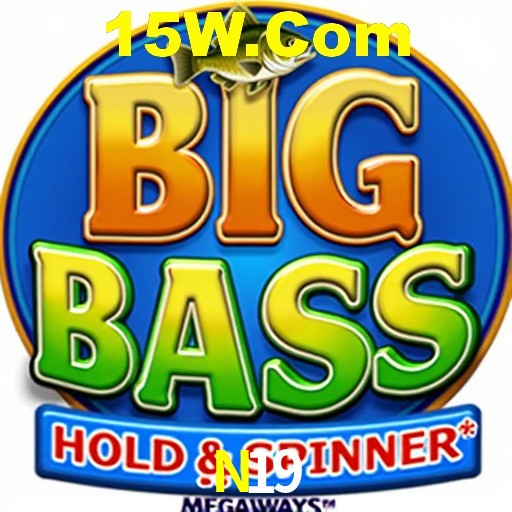 Interface Premium N19